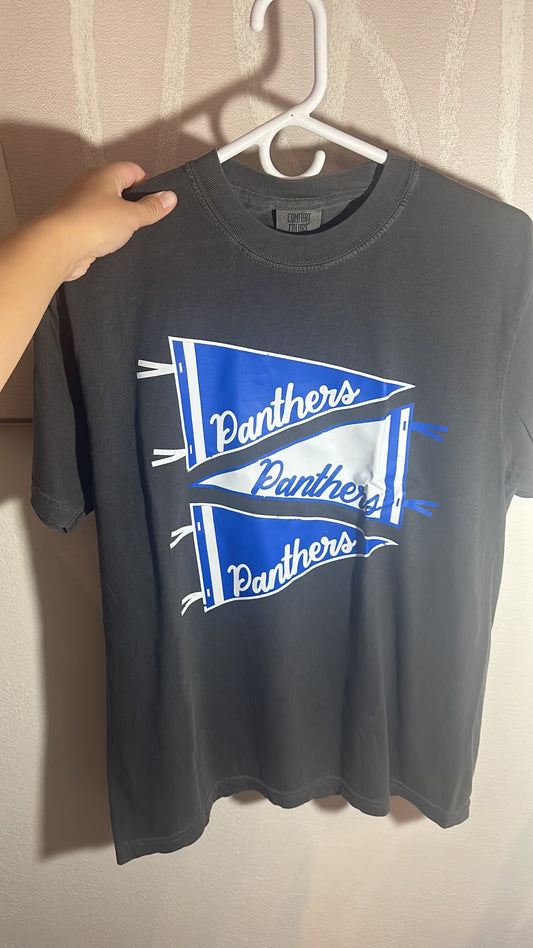 Panthers Pennant T-shirt